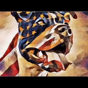 Meet your Posher, Brad